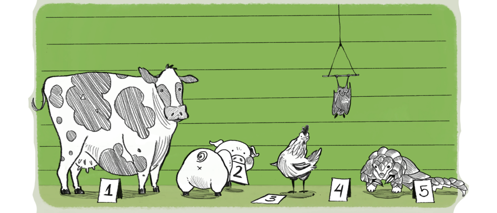 Ilustração: animais dispostos em fileira a frente de um paredão como suspeitos de crime. 1º vaca, 2º porco, 3º galinha, 4º morcego e 5º pangolim.