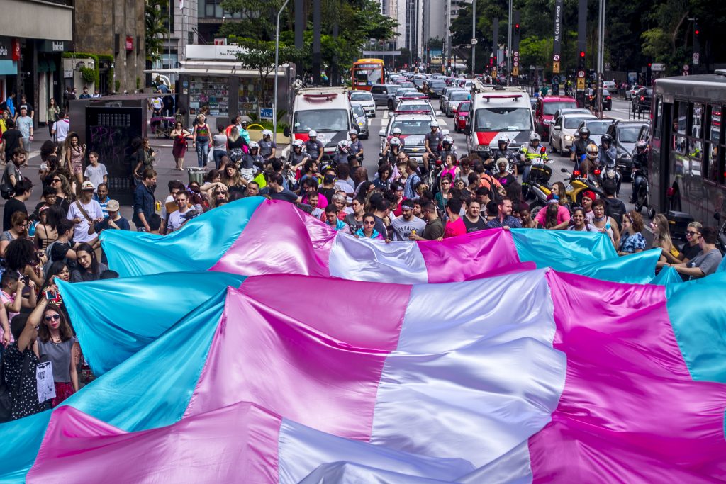 Manifestação de orgulho trans na avenida paulista, um grupo segura uma grande bandeira trans